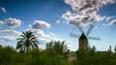 Zeitraffer - Windmühle und Palme