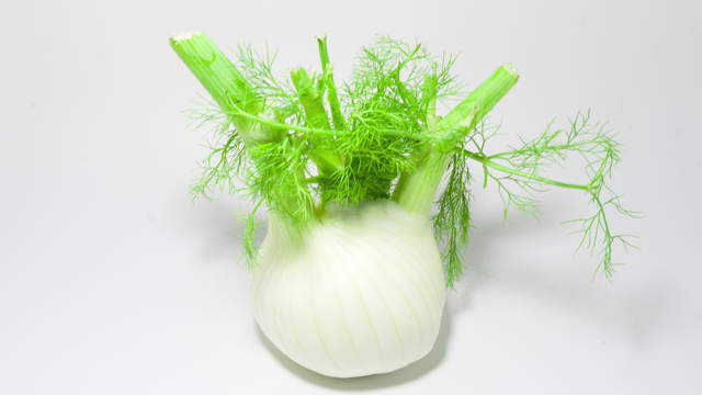 Fenchel