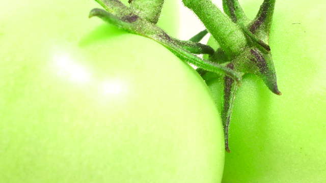 Tomaten mit Drehung Macro